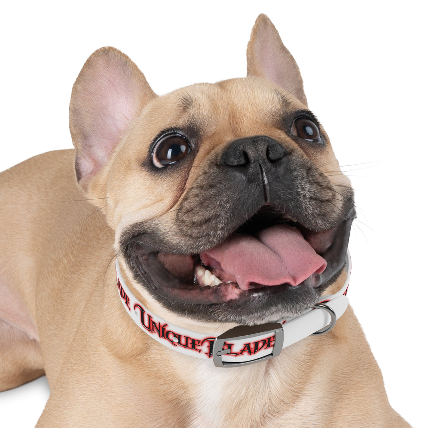 Dog Collar - Adjustable and durable collar designed for dogs, offering comfort and control during walks or outdoor activities.