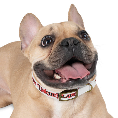 Dog Collar - Adjustable and durable collar designed for dogs, offering comfort and control during walks or outdoor activities.