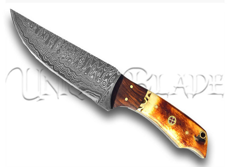 Abandoned Pyre Fixed Blade Damascus Hunt for Life Outdoor Hunting Knife