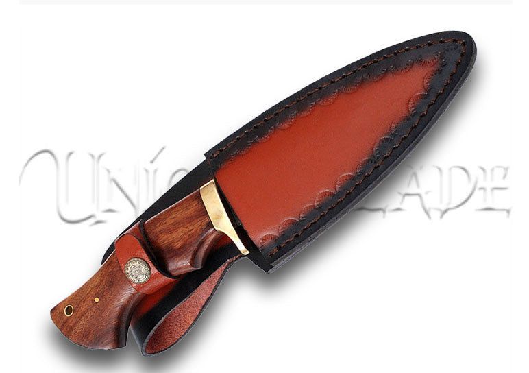 Bear Claw Fixed Blade Outdoor Hunting Knife
